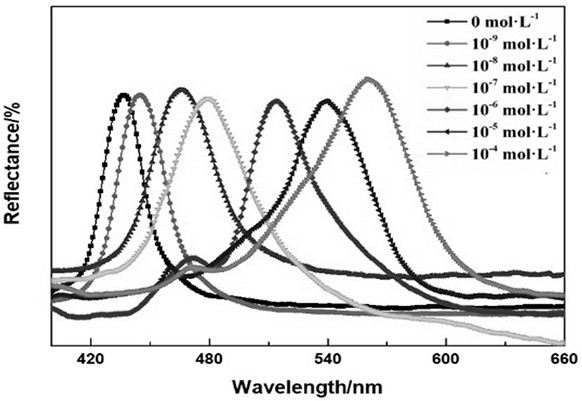 Surface molecular imprinting gel photonic crystal sensor as well as preparation method and application thereof