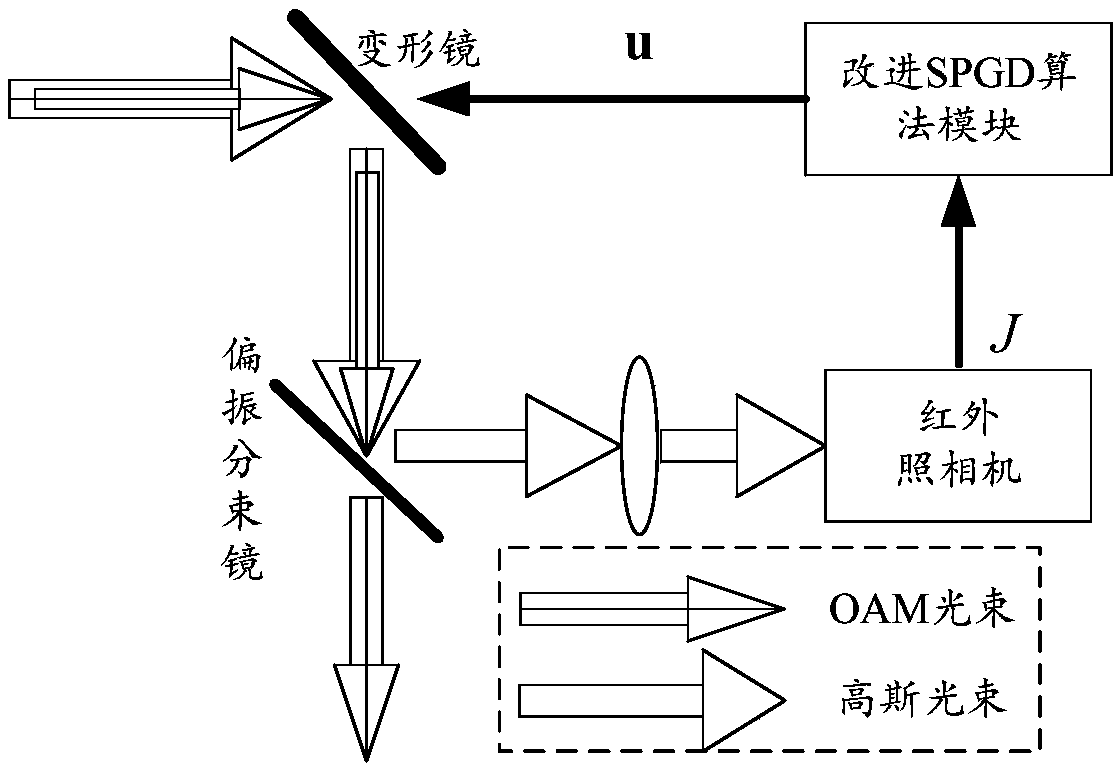 Improved SPGD algorithm for OAM beam phase repair