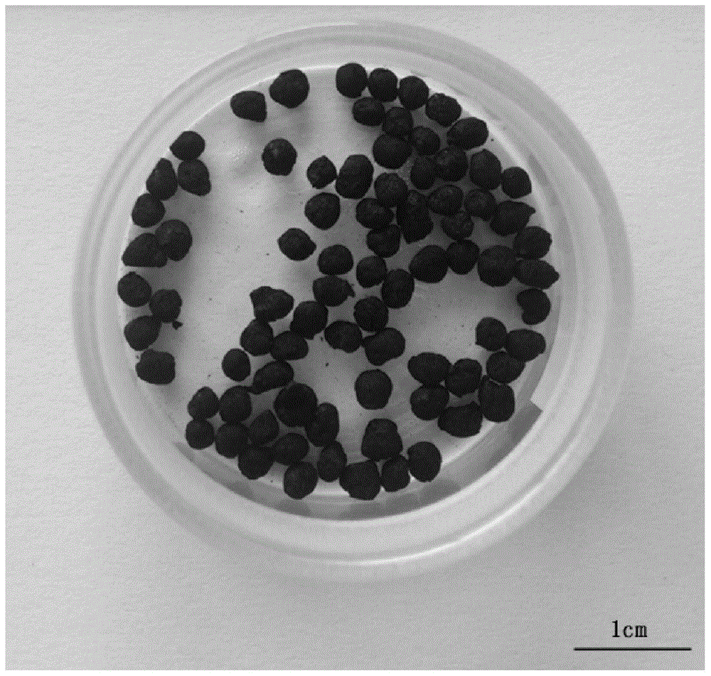 A kind of mud-based spherical activated carbon and its preparation method and application
