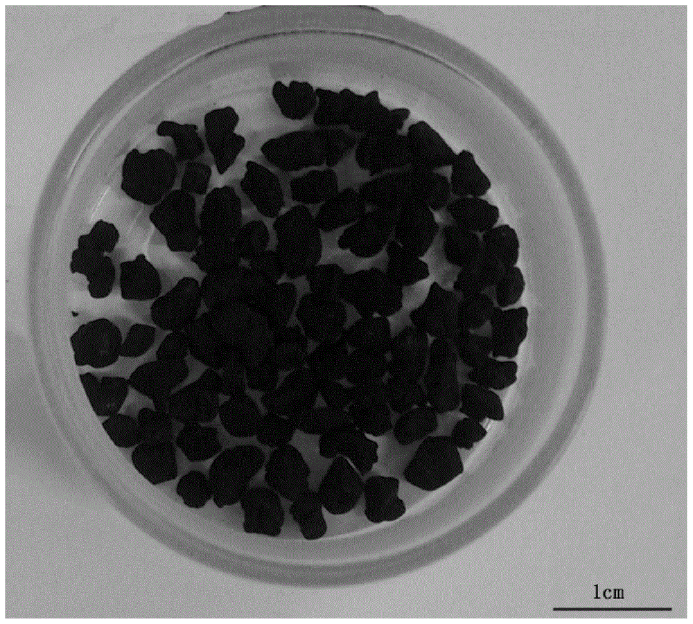 A kind of mud-based spherical activated carbon and its preparation method and application