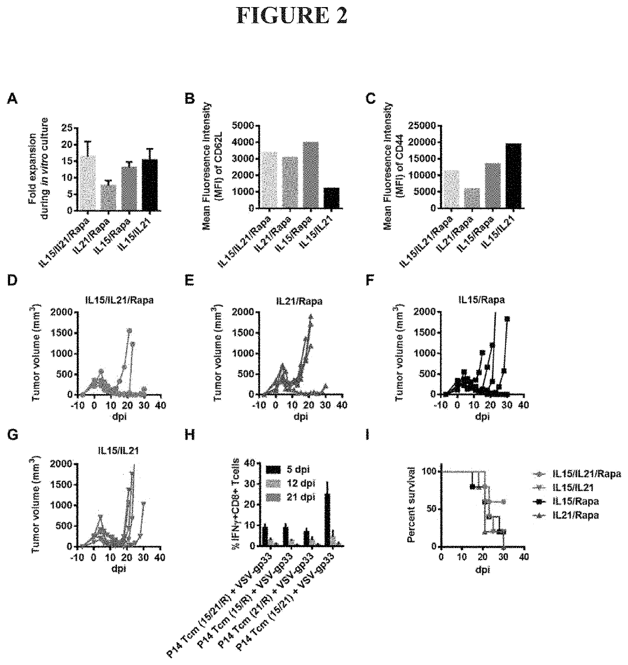 Adoptive cell transfer and oncolytic virus combination therapy