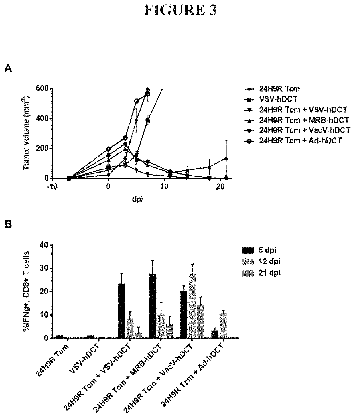 Adoptive cell transfer and oncolytic virus combination therapy