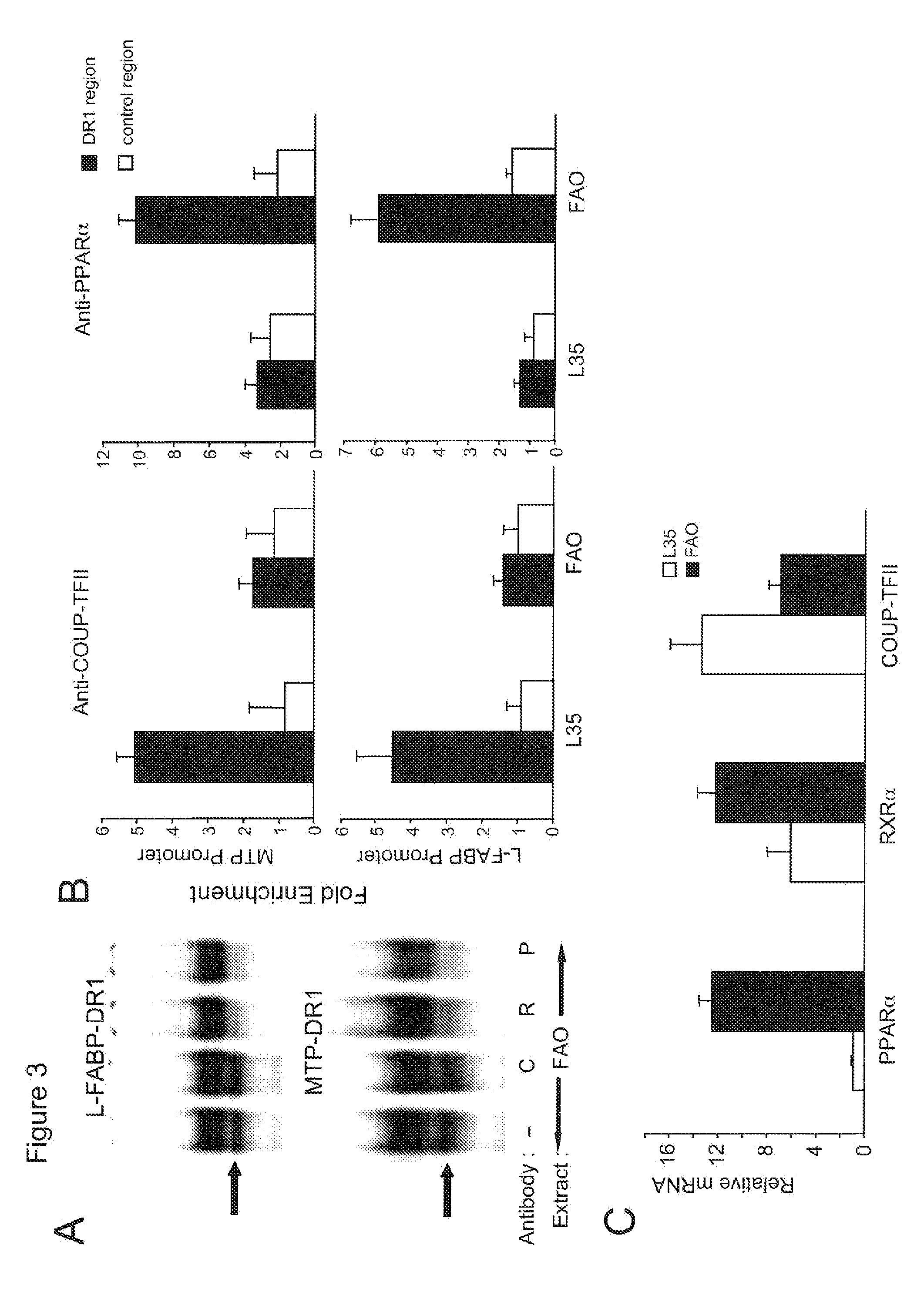 Compositions and methods for ameliorating hyperlipidemia