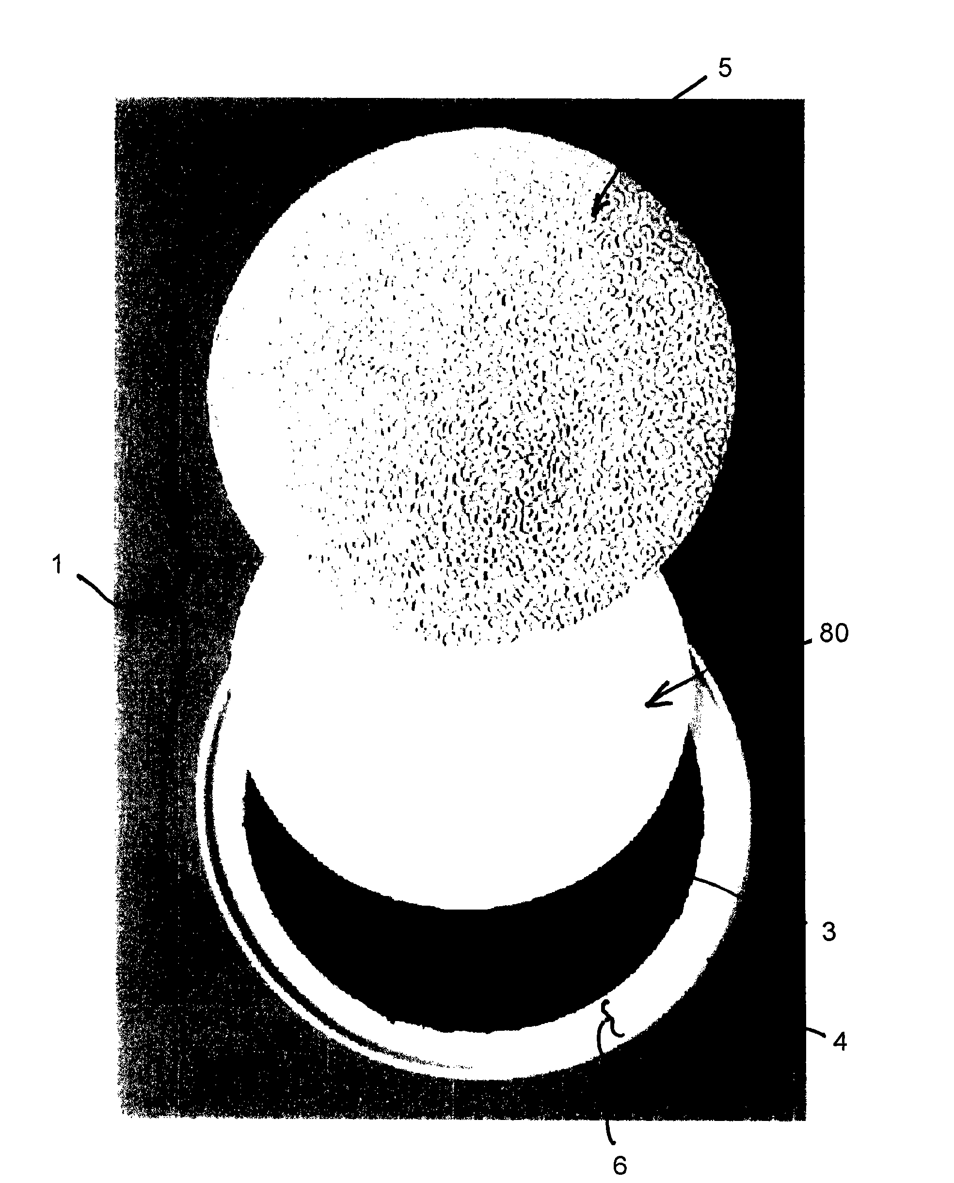 Capsule with flow control and filtering member