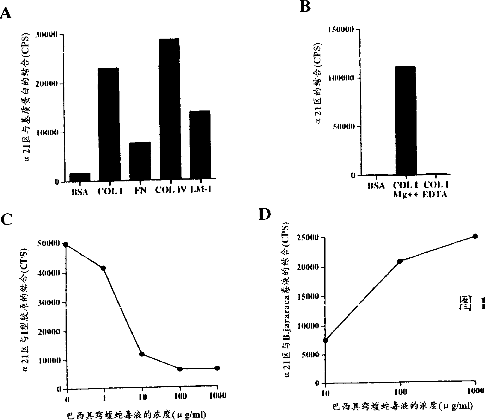 Integrin binding peptide and use thereof