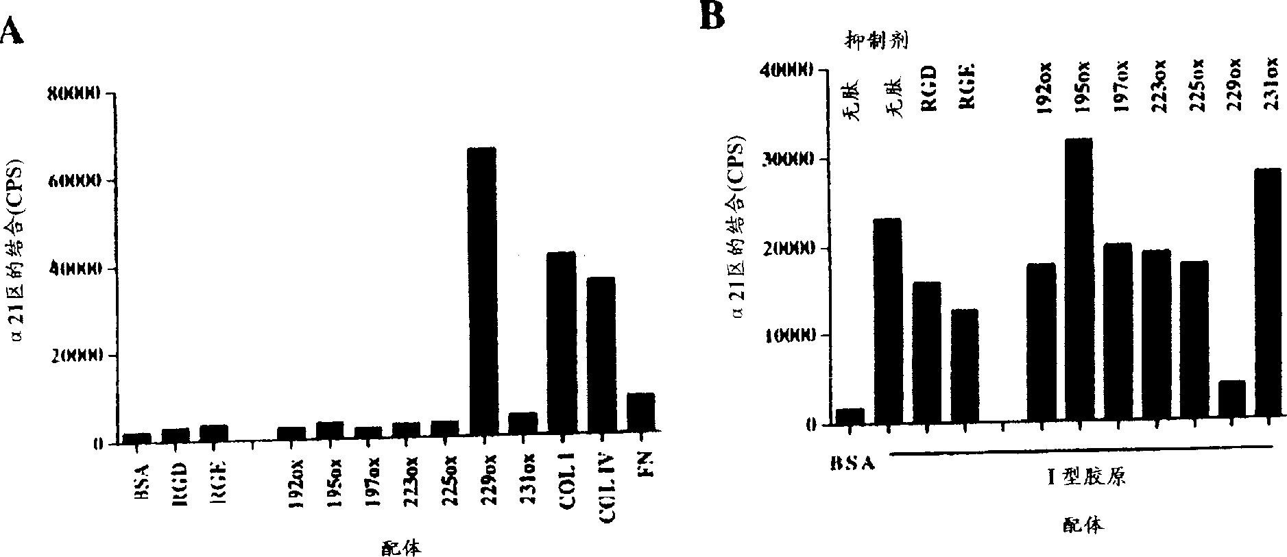 Integrin binding peptide and use thereof