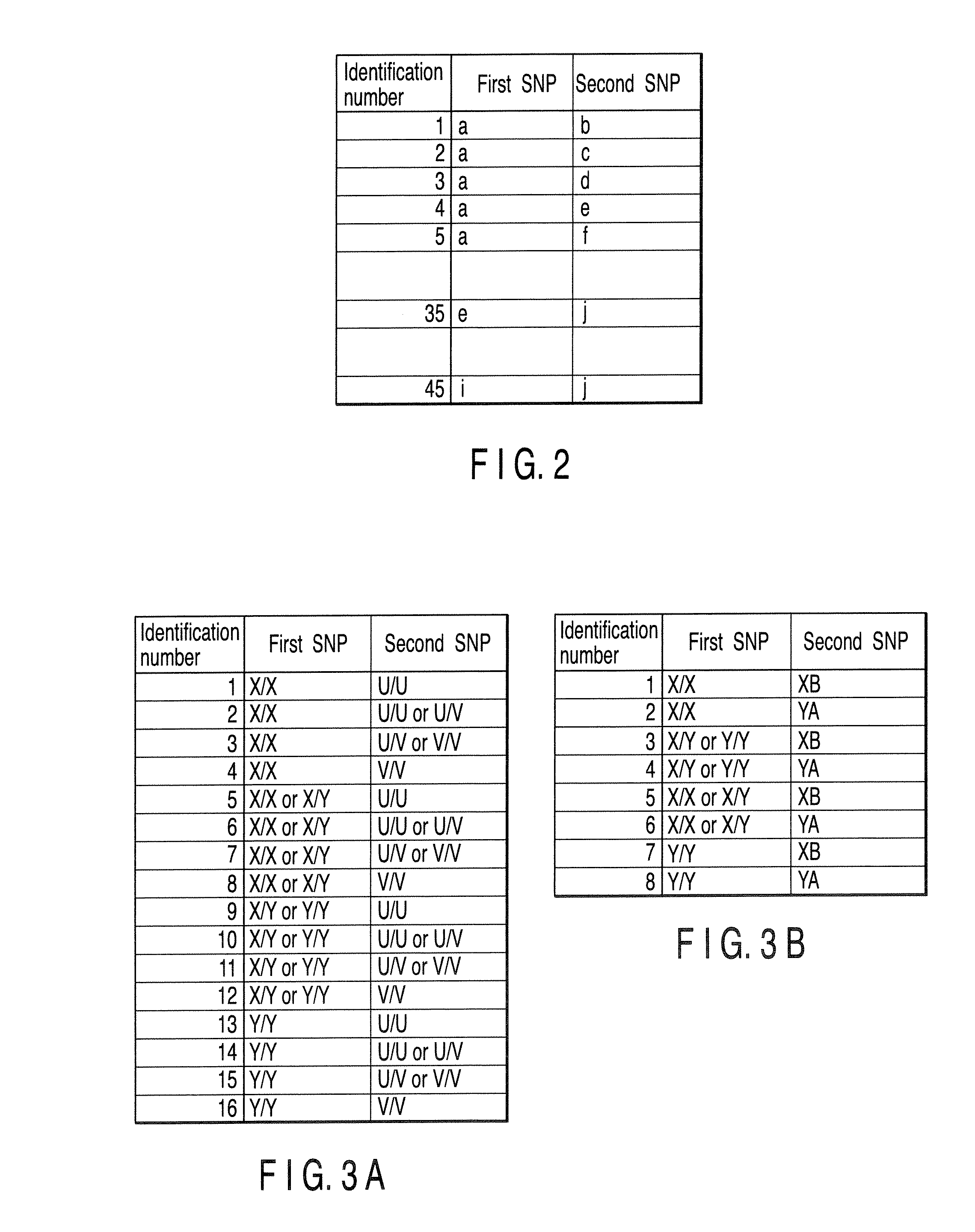 Genetic marker selection program for genetic diagnosis, apparatus and system for executing the same, and genetic diagnosis system