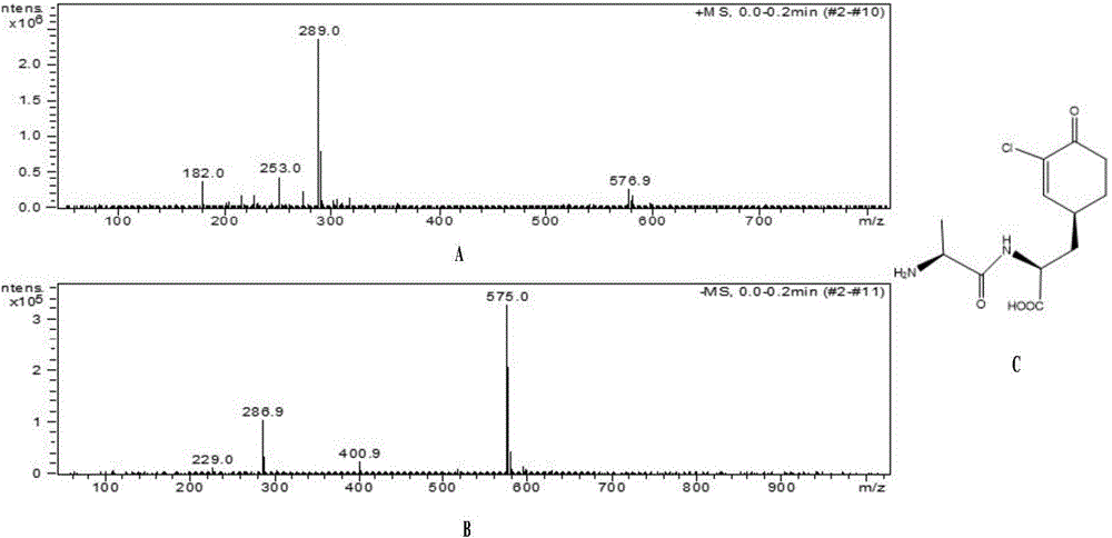 Antibacterial compound and application thereof