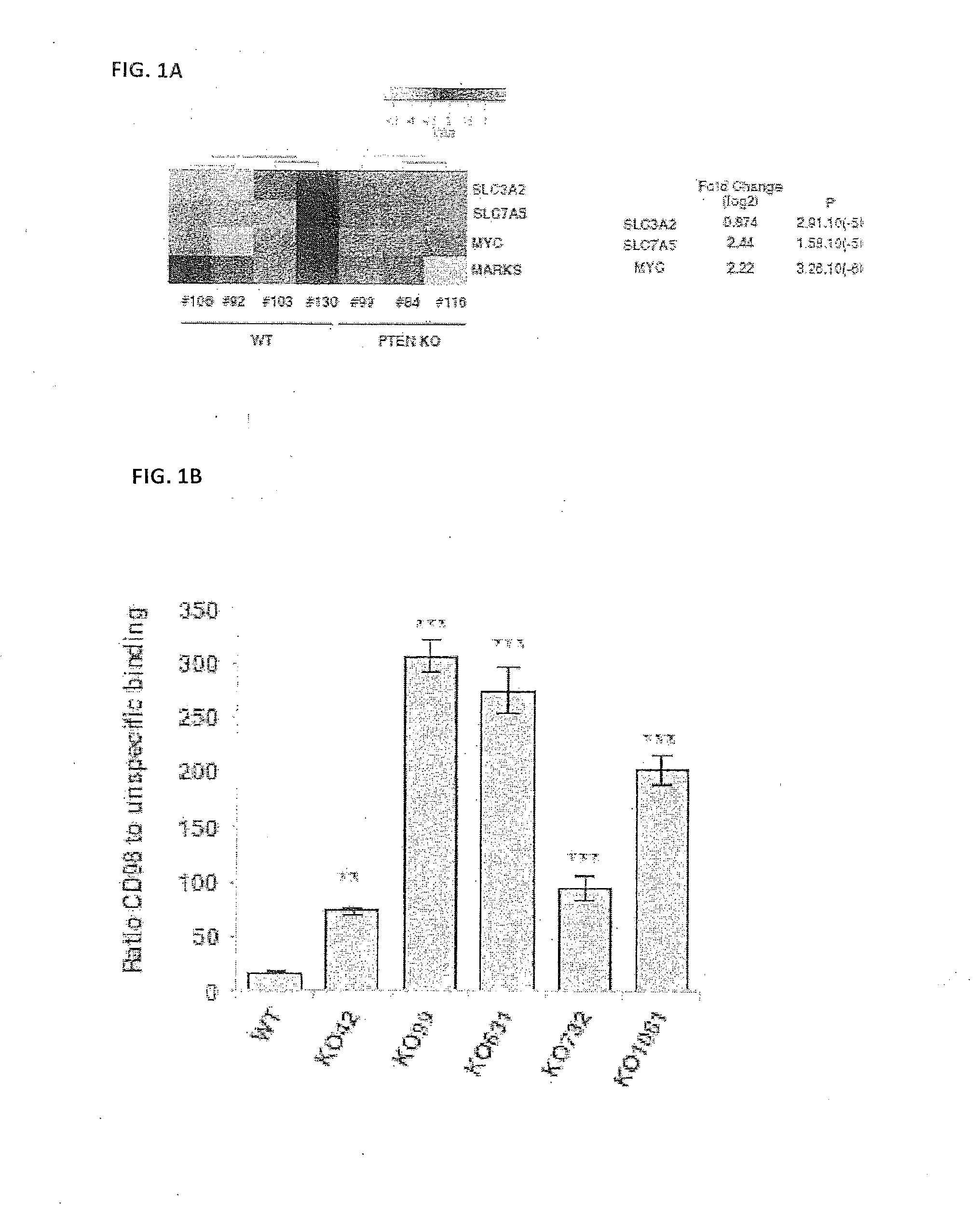 An anticancer agent composition