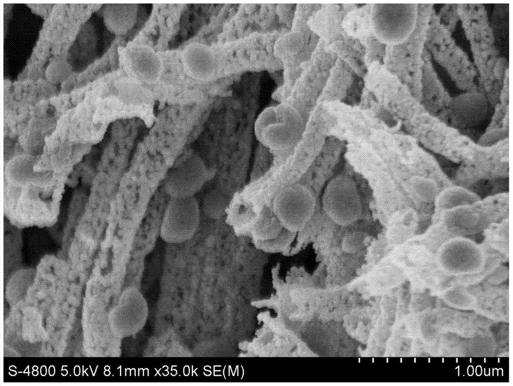 A coaxial heterostructured sno  <sub>2</sub> Preparation method and application of /zno nanocomposite fiber material