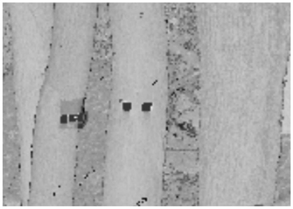 Forest stand survey sample wood accurate code generation method based on Foundation three-dimensional laser scanning