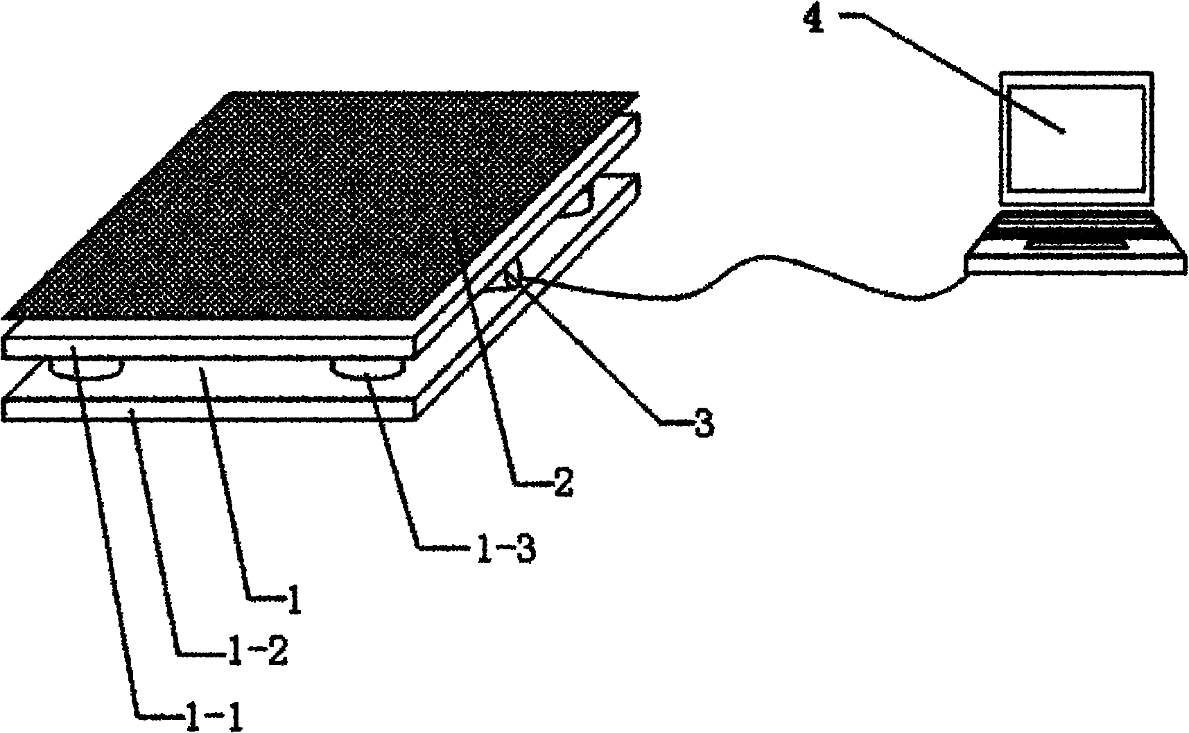 Device and method for measuring gait touch information