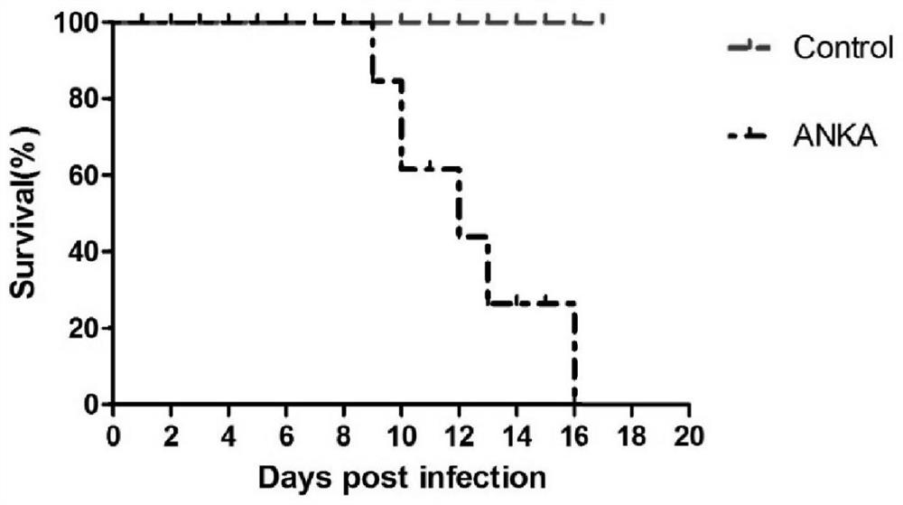 A kind of pharmaceutical composition for treating malaria