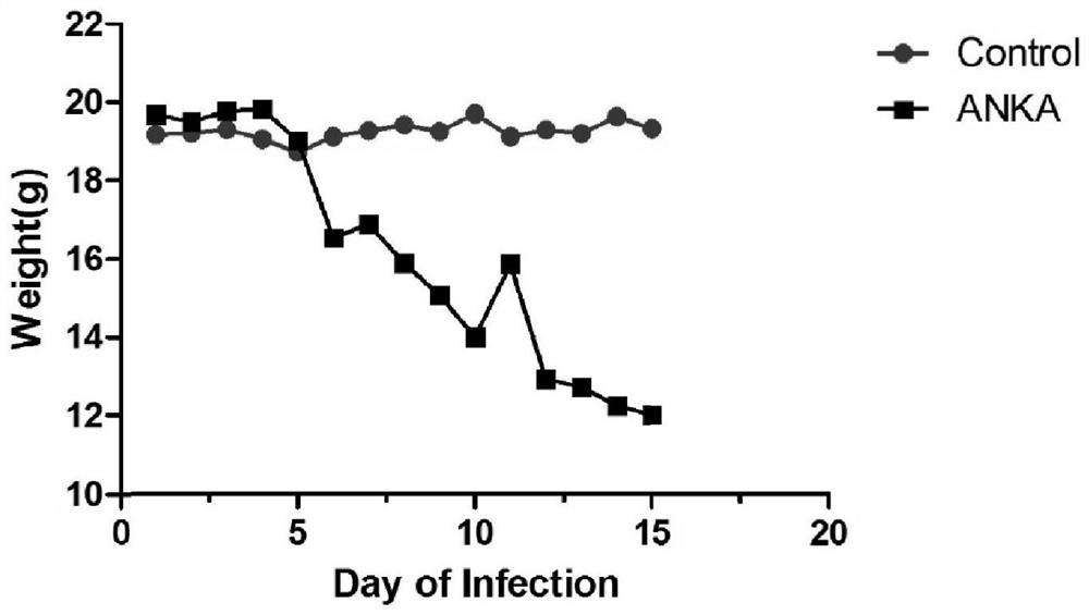 A kind of pharmaceutical composition for treating malaria