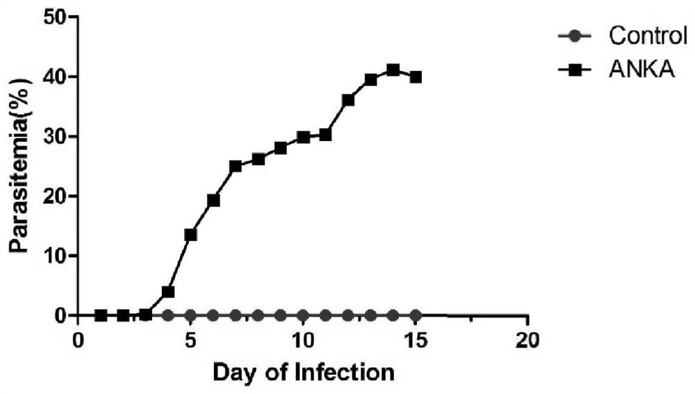 A kind of pharmaceutical composition for treating malaria