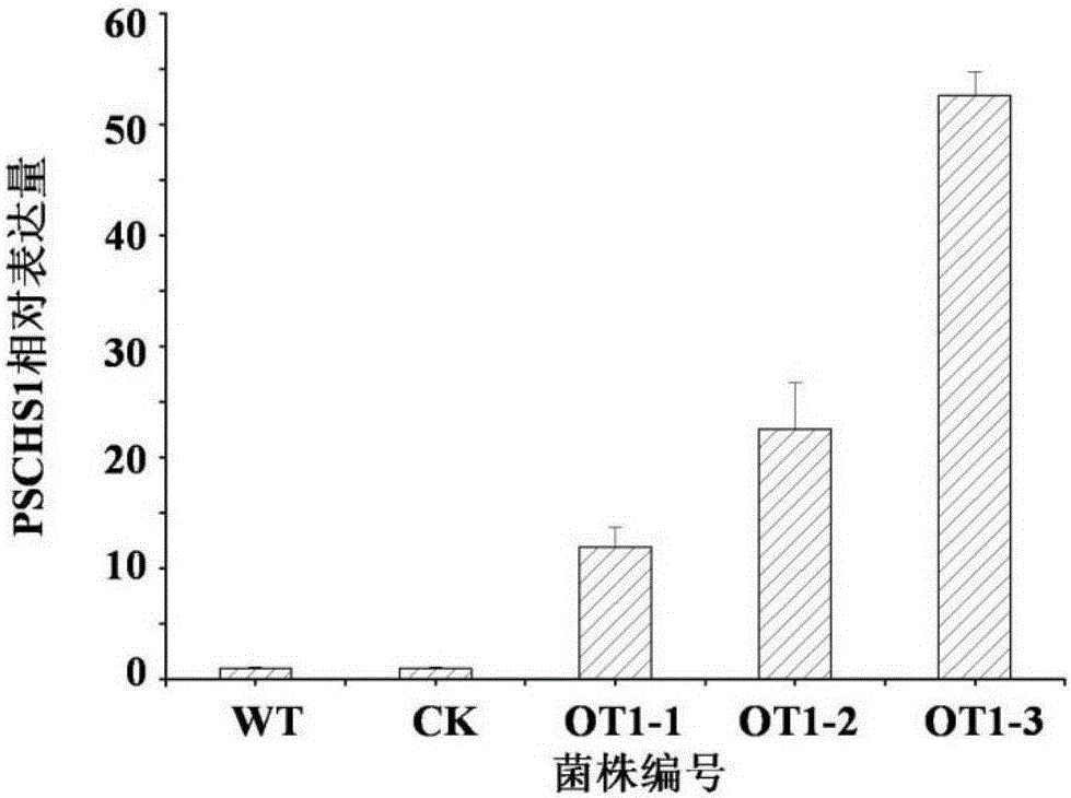 Chitin synthase and gene thereof, and application of the chitin synthase