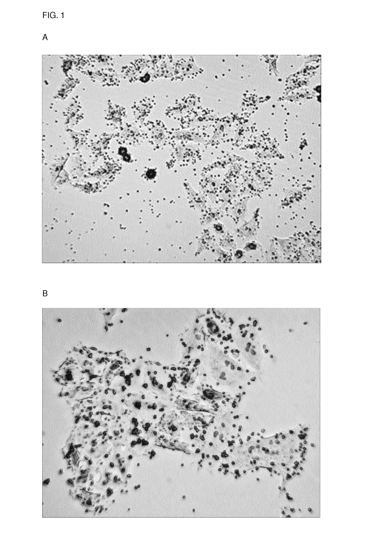 Modulation of the physical interaction between platelets and the cell ...