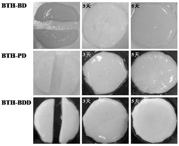 Preparation method of novel acylhydrazone bond gel through one-step cross-linking polymerization