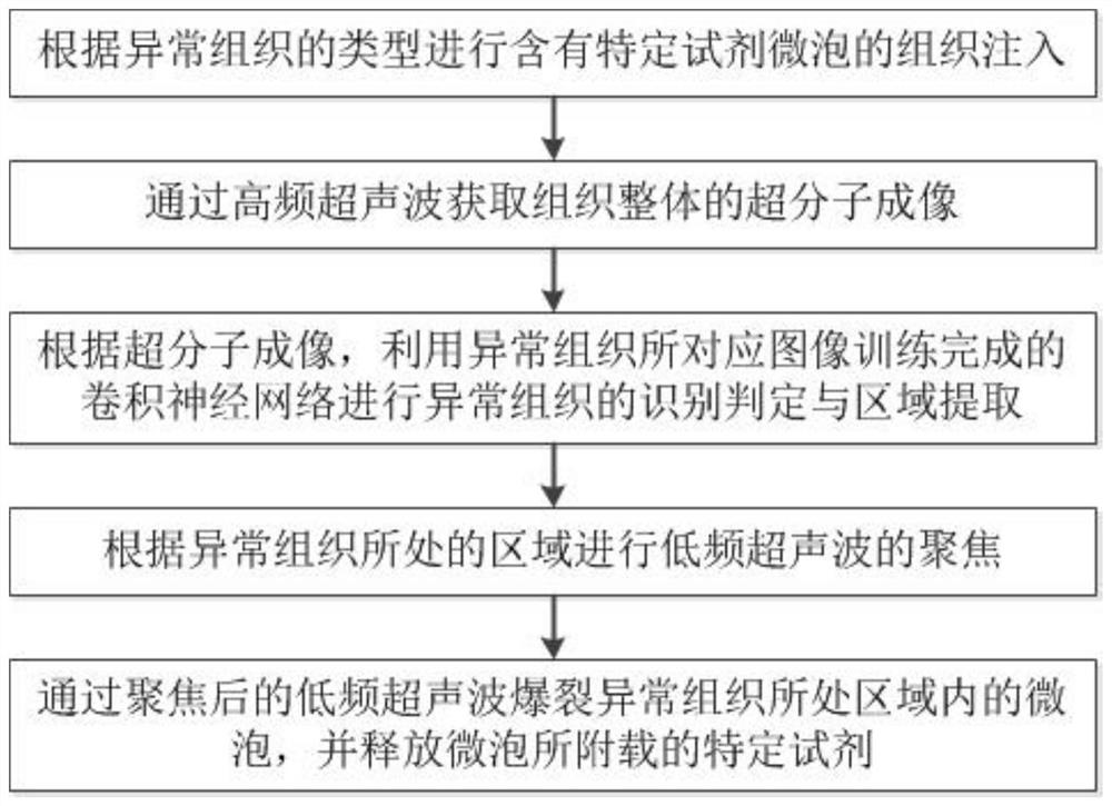 Reagent fixed-point release method and system based on ultrasonic microbubble radiography