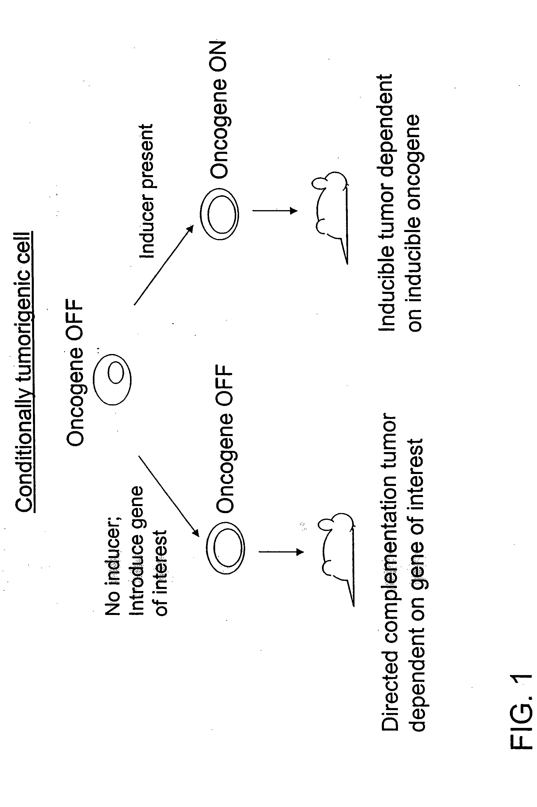 Directed complementation