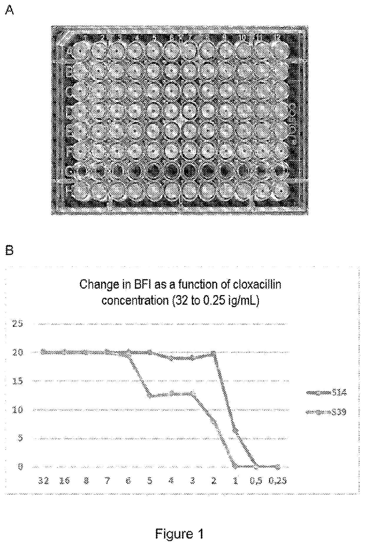 Use of cloxacillin to inhibit/prevent biofilm formation