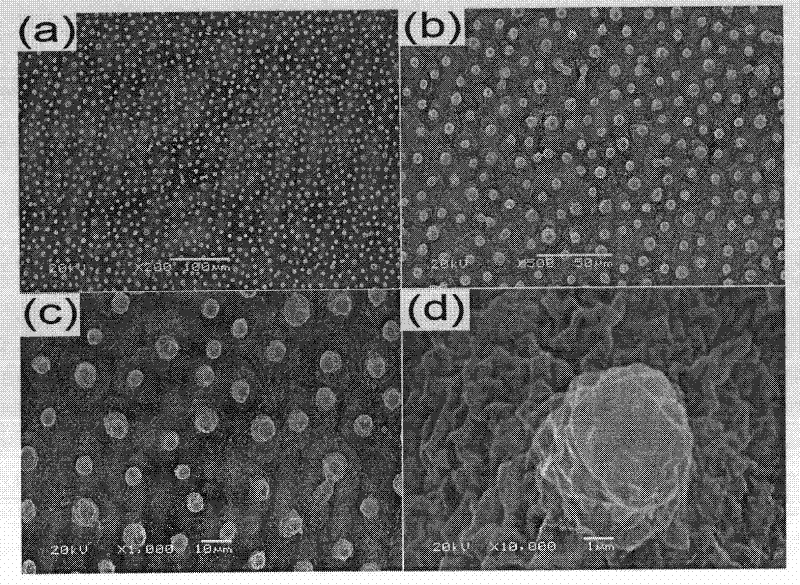Preparation method of bionic controllable adhesive hydrophobic gold surface