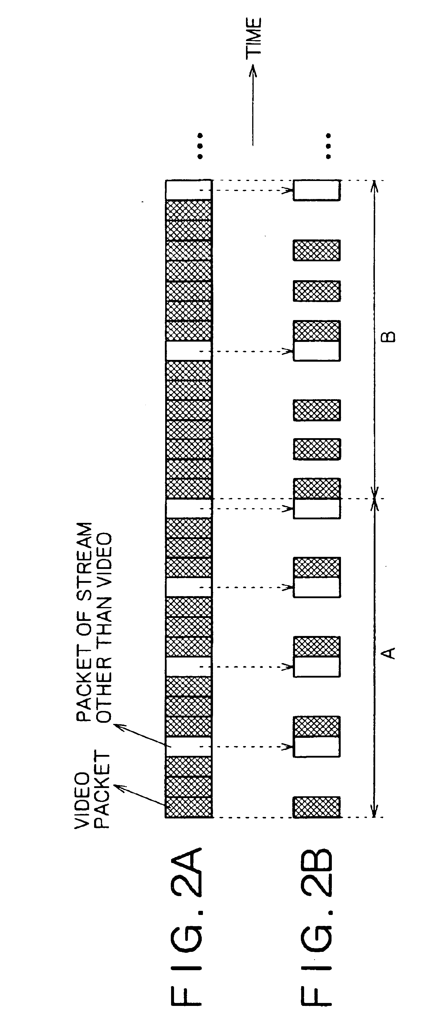 Apparatus and method for information processing