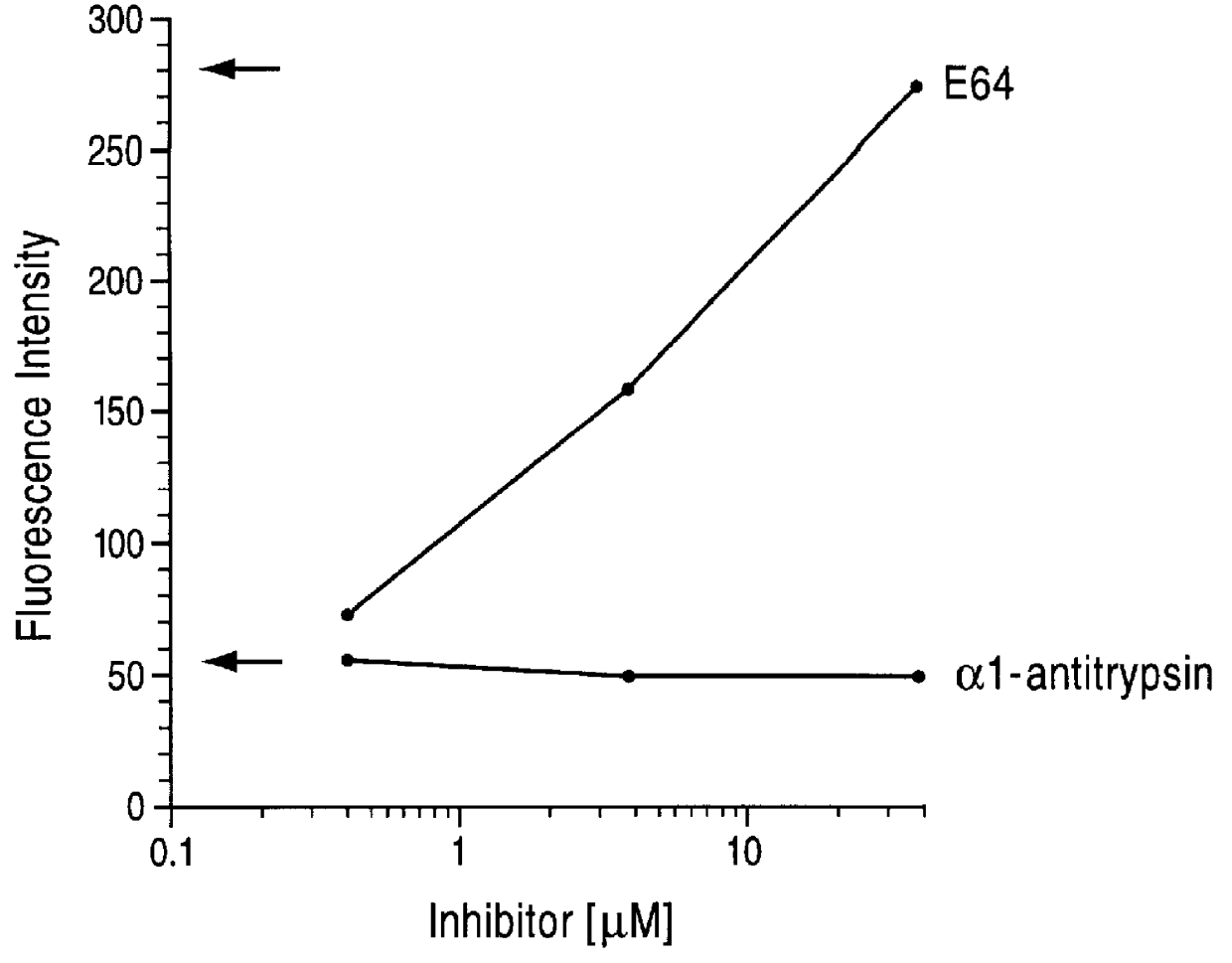 Cysteine protease inhibitors for use in treatment of IGE mediated allergic diseases