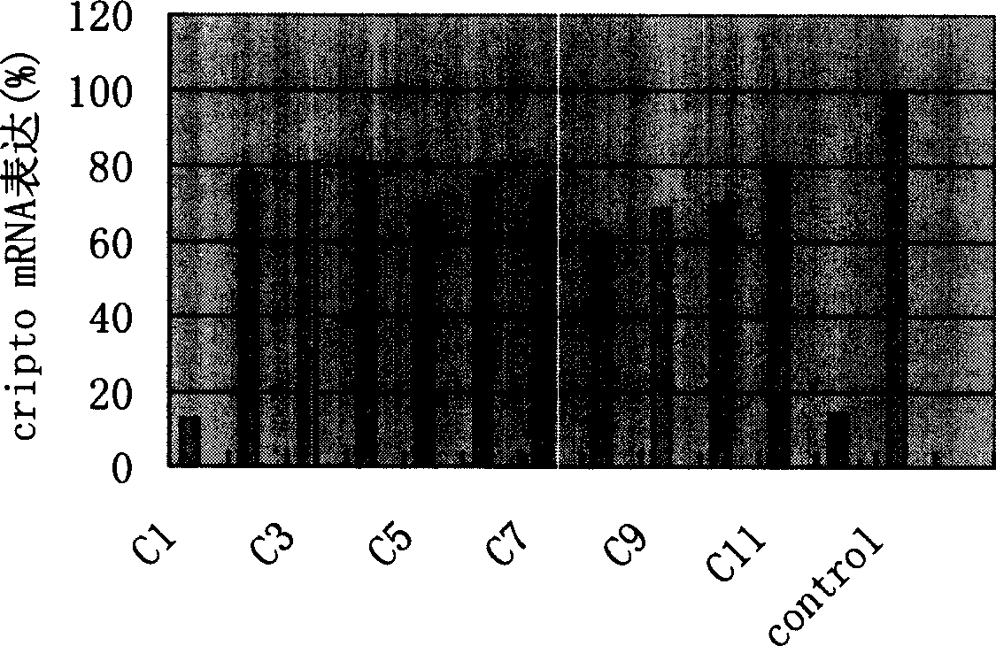 Small interference ribonucleic acid molecule for epidermal growth facor gene and its use