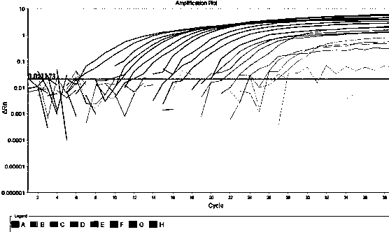 Molecular probe for detecting African swine fever virus, kit and application thereof