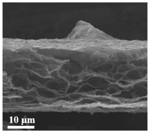 Preparation method of porous graphene/transition metal chalcogenide film