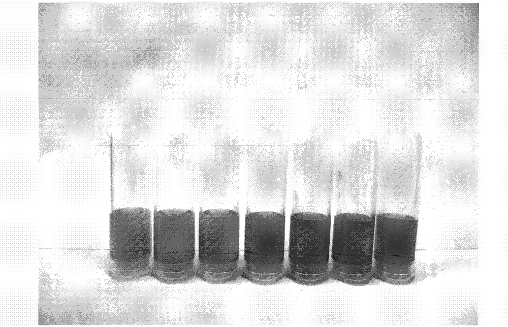Method for visual rapid detection of clenbuterol by adopting nanogold probe