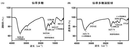 Mesona chinensis polysaccharide gel ball as well as preparation method and application thereof