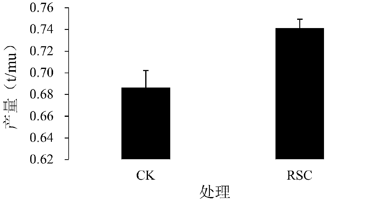 Method of using rice straw biochar to maintain yield, increase yield and decrease volatile emission of ammonia