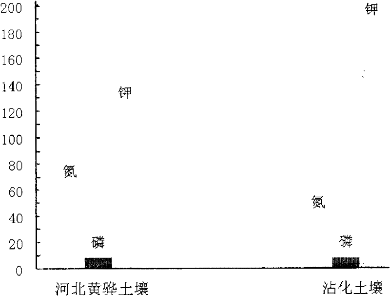 Special fertilizer for Zhanhua winter jujubes, preparation method and application thereof