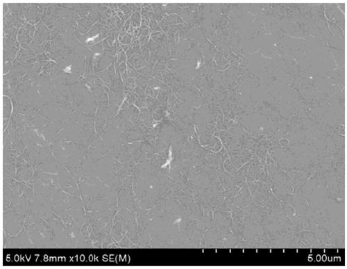 Preparation method of carbon nano-thin film/nano-micron network composite thin film and fiber