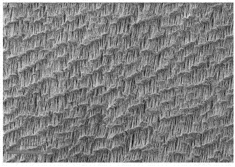 Method for preparing a waterproof, breathable and sound-permeable film by means of lamination and compounding