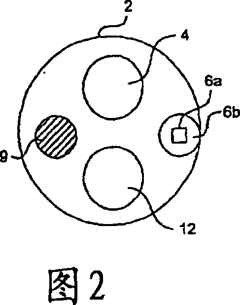 Method and apparatus for photoactivation medicament treatment