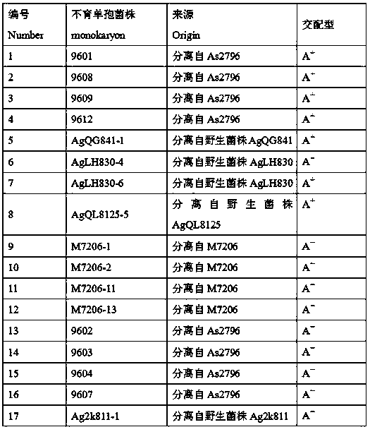 SCAR-PCR identification method for mating types of agaricus bisporus homonuclear sterile single spore strains