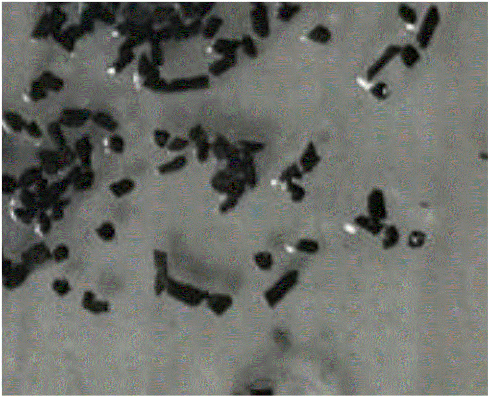Fuzzy rough set coal dust image segmentation method based on multiple attribute reduction