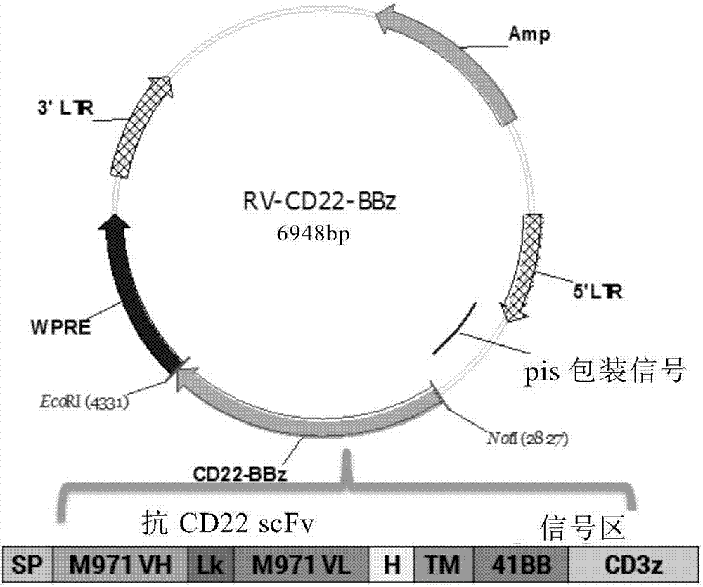 CD22 targeted chimeric antigen receptor and use thereof