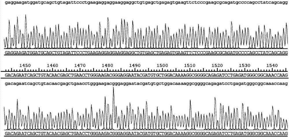 CD22 targeted chimeric antigen receptor and use thereof