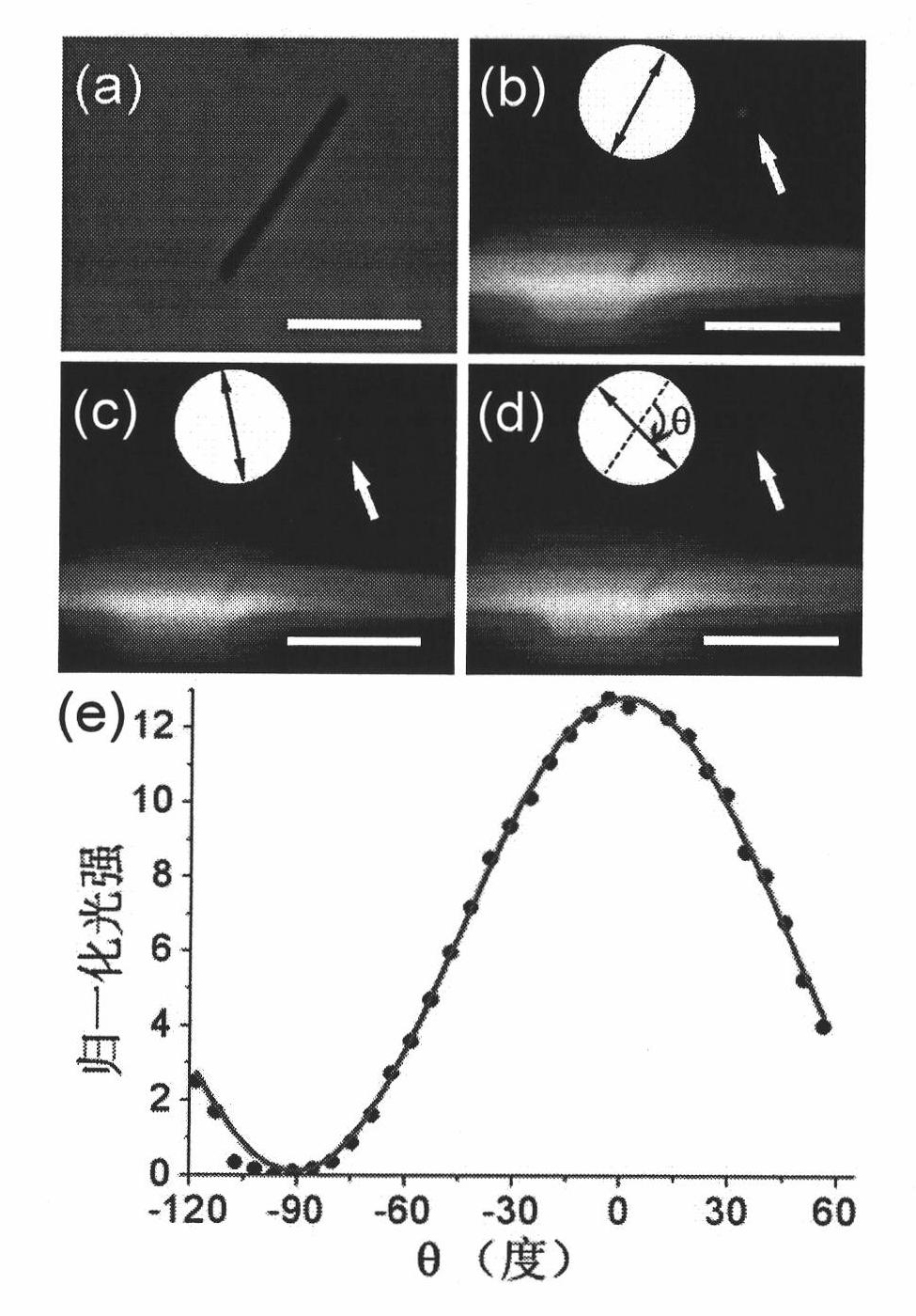 Surface plasma excitation method for chip-integrated metal nanowire