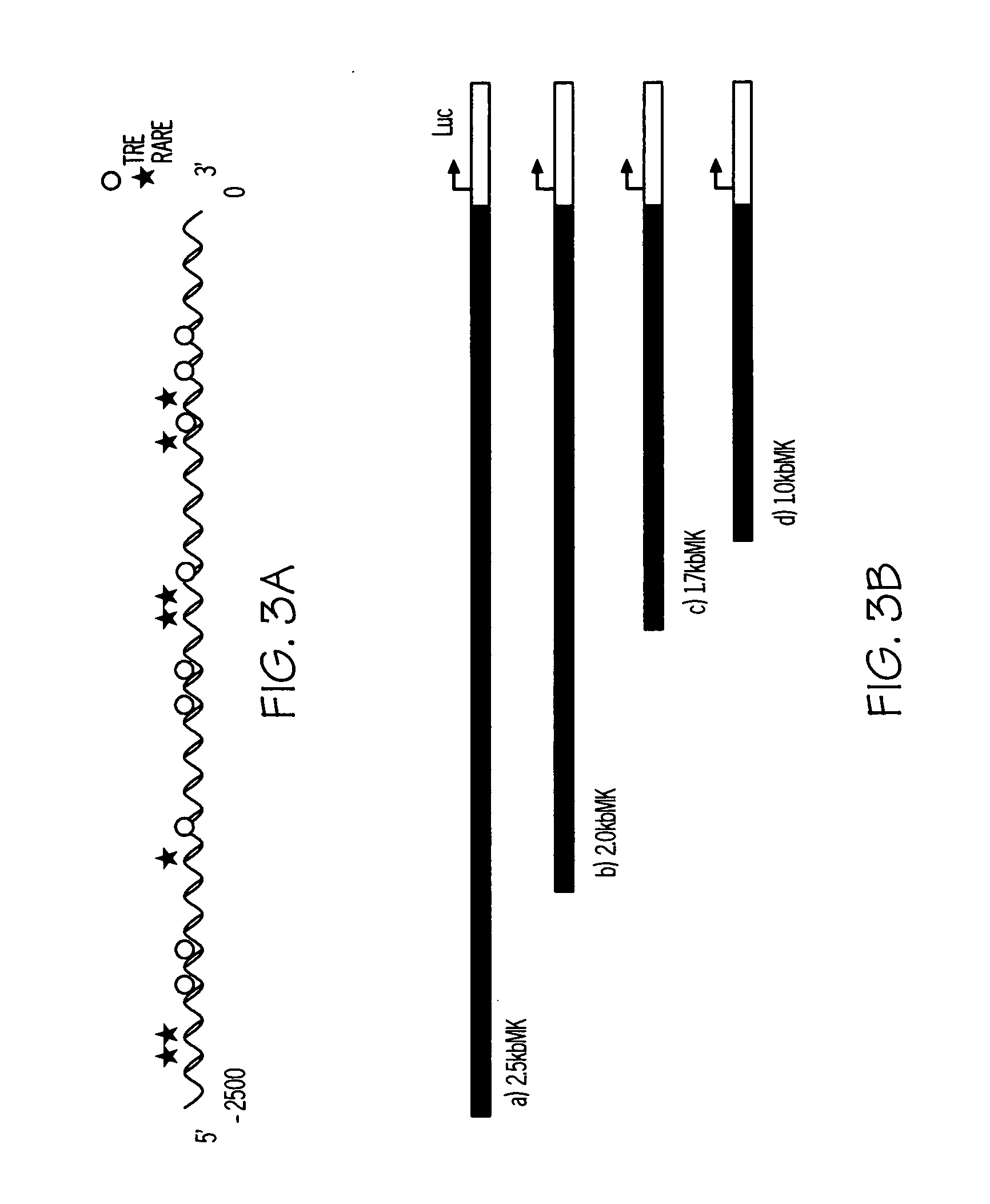 Method for diagnosis and treatment of pulmonary disorders