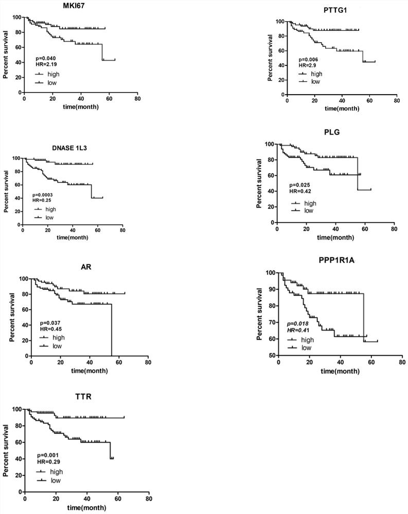 Establishment method and application of a polygenic liver cancer prognosis grading system