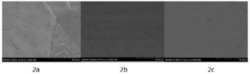 Rapid transfer method based on graphene adhesive tape