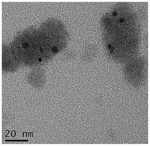 A kind of stannous sulfide nano photothermal agent and preparation method thereof