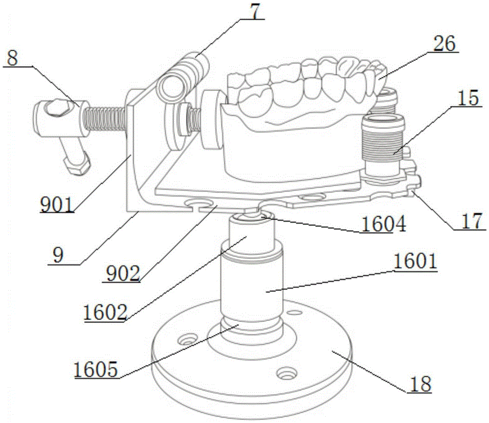 A device for measuring the inclination of tooth cusps