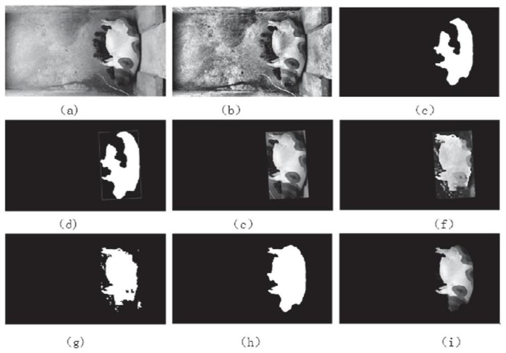 A method for image segmentation of lactating sows fused with fcn and threshold segmentation