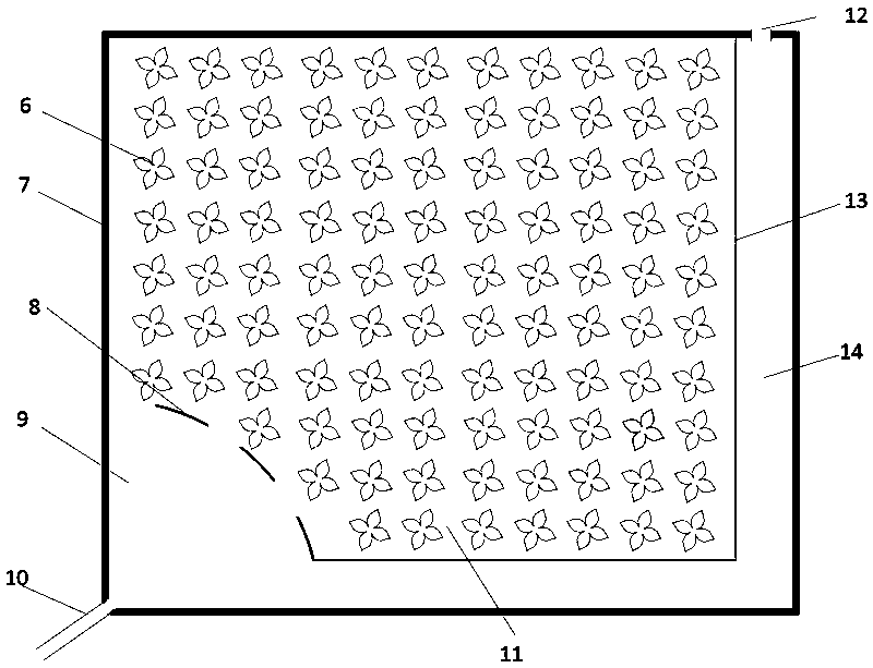 System for breeding acrossocheilus fasciatus and purifying and utilizing tail water